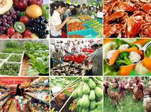Ngành Nông nghiệp triển khai biện pháp bình ổn giá thị trường dịp Tết